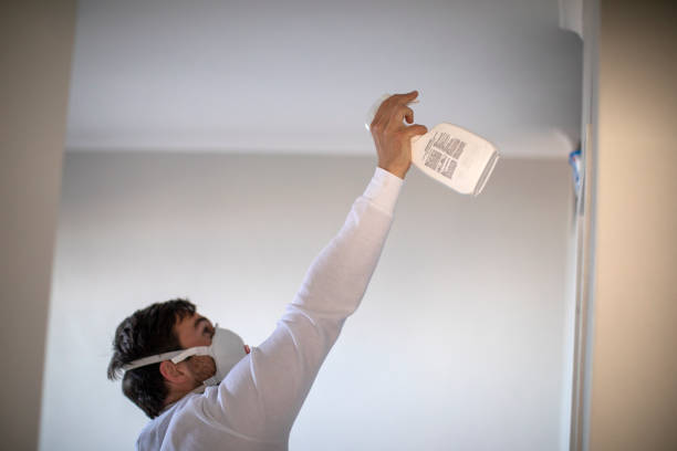 Best Emergency Mold Removal  in Clifton, NJ