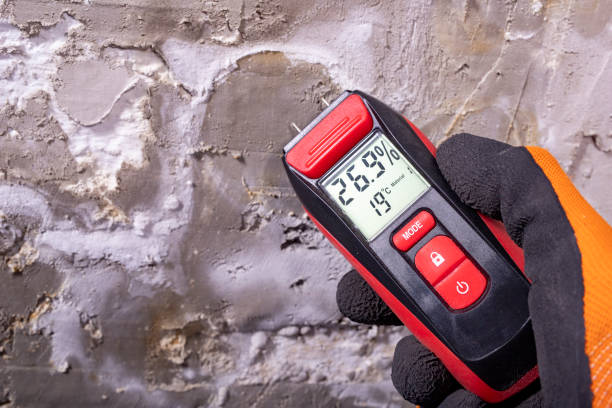 Best Mold Removal Near Me  in Clifton, NJ