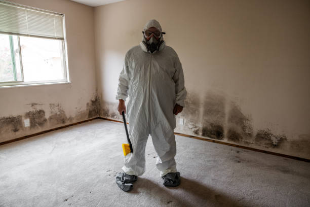 Best Fast Mold Removal  in Clifton, NJ